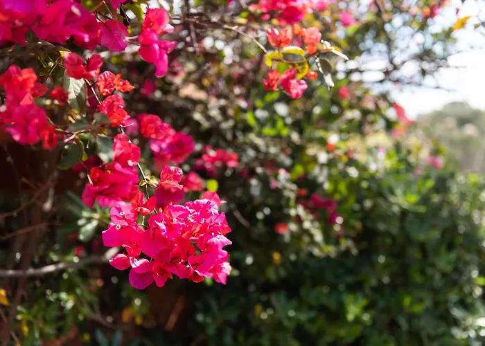 Accu Is Prezzus E Special 50m Mare Villasimius